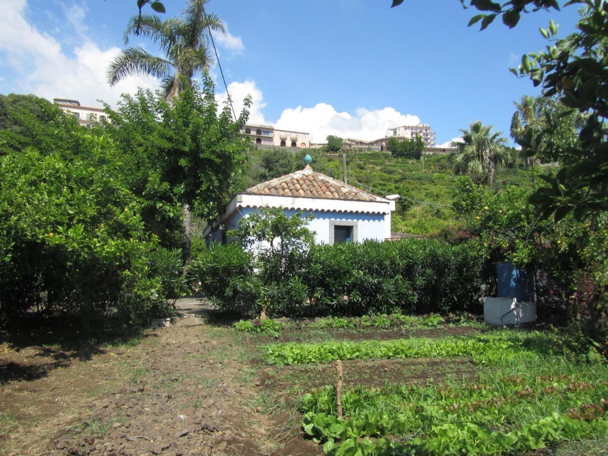 아치레알레 Come In Sicily La Pietra Monaca 아파트 객실 사진